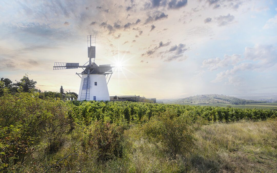 RETZER WINDMÜHLE